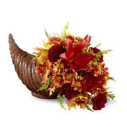 Fall Harvest Cornucopia by Better Homes and Gardens  from Victor Mathis Florist in Louisville, KY